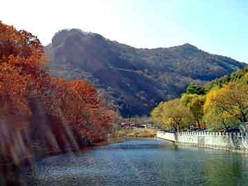 澳门二四六天天免费好材料，完本都市小说排行榜